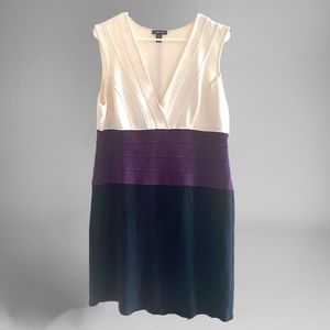 Fitted Colorblock Dress